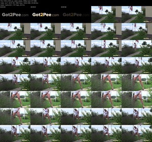 Pissing salute (1080p)