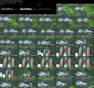 A rainy day doesn't stop you from peeing (1080p)