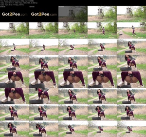 Pissing break down (1080p)