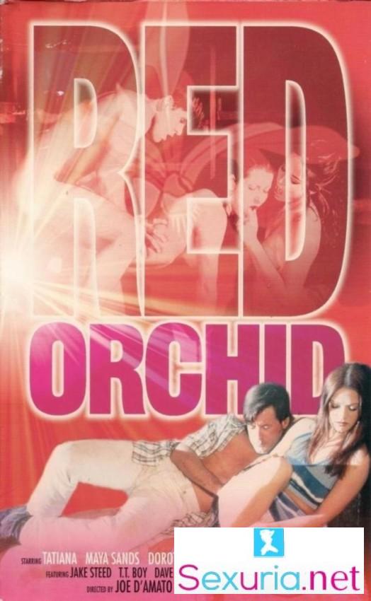 Red Orchid [1998]